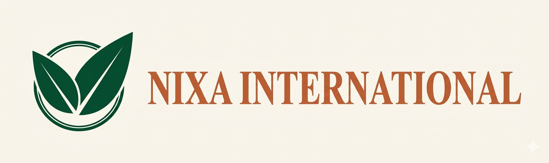 Nixa International Logo